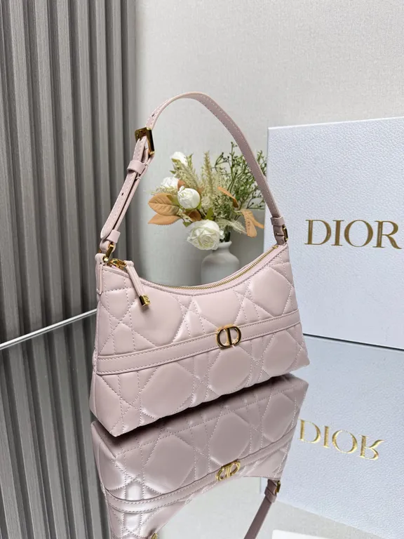 Dior Bag 